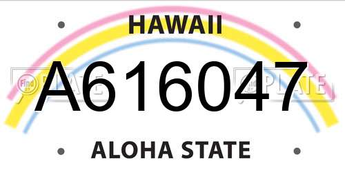A616047 Hawaii License Plate