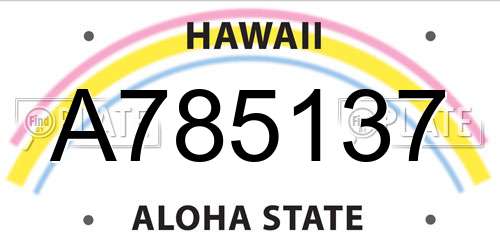 A785137 Hawaii License Plate