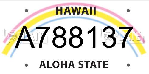 A788137 Hawaii License Plate