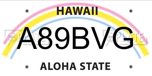 A89BVG Hawaii License Plate