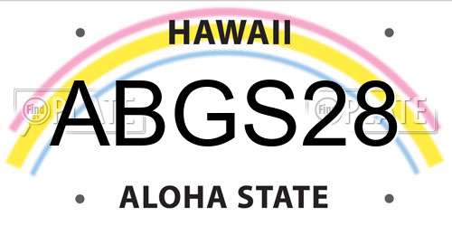 ABGS28 Hawaii License Plate