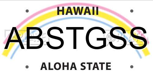 ABSTGSS Hawaii License Plate