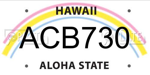 ACB730 Hawaii License Plate
