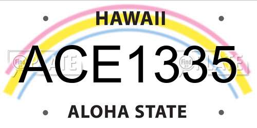 ACE1335 Hawaii License Plate