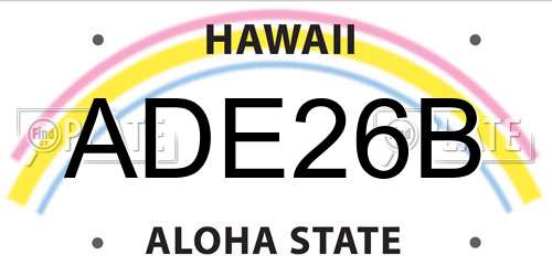 ADE26B Hawaii License Plate