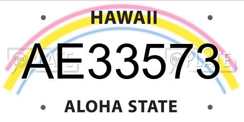 AE33573 Hawaii License Plate