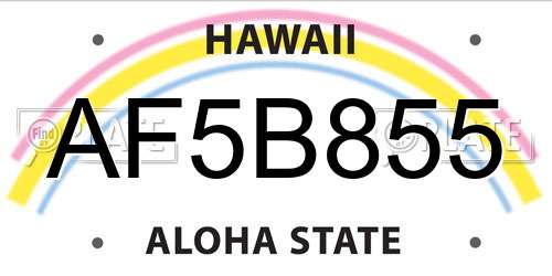 AF5B855 Hawaii License Plate