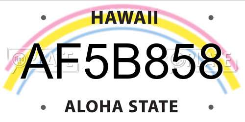AF5B858 Hawaii License Plate