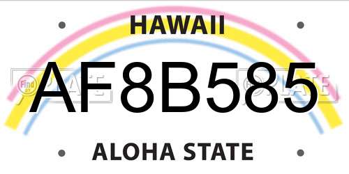 AF8B585 Hawaii License Plate