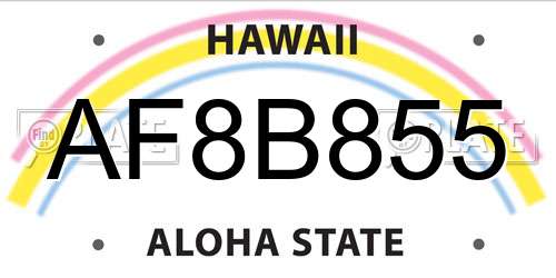 AF8B855 Hawaii License Plate