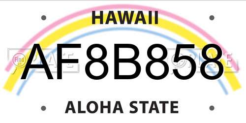 AF8B858 Hawaii License Plate