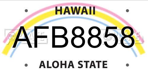 AFB8858 Hawaii License Plate