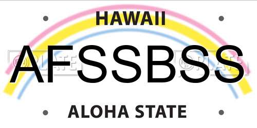 AFSSBSS Hawaii License Plate