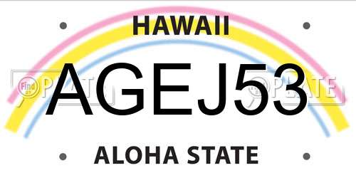AGEJ53 Hawaii License Plate