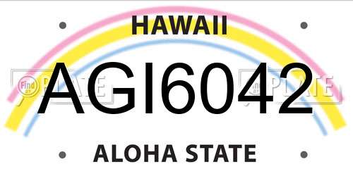 AGI6042 Hawaii License Plate
