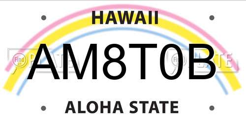 AM8T0B Hawaii License Plate