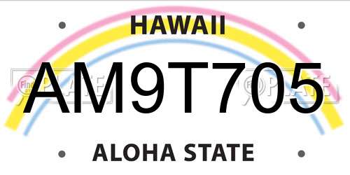AM9T705 Hawaii License Plate