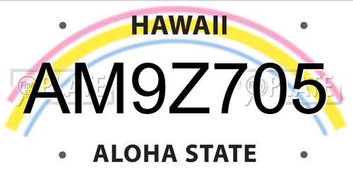AM9Z705 Hawaii License Plate