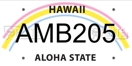 AMB205 Hawaii License Plate