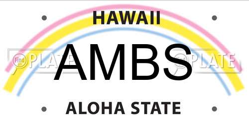 AMBS Hawaii License Plate