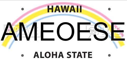 AMEOESE Hawaii License Plate