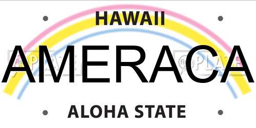 AMERACA Hawaii License Plate