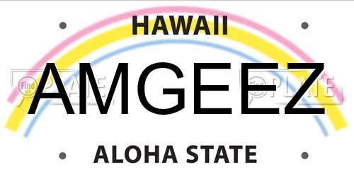 AMGEEZ Hawaii License Plate