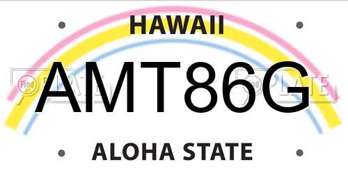 AMT86G Hawaii License Plate