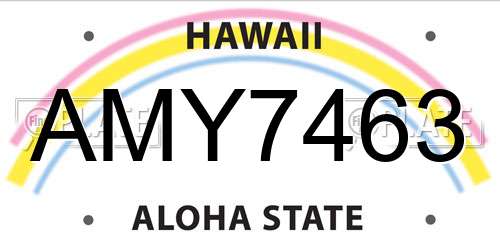 AMY7463 Hawaii License Plate