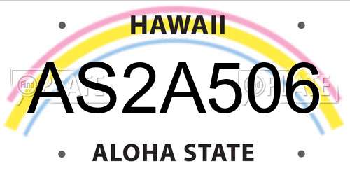 AS2A506 Hawaii License Plate