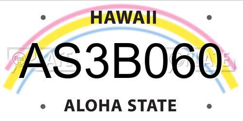 AS3B060 Hawaii License Plate