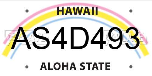 AS4D493 Hawaii License Plate