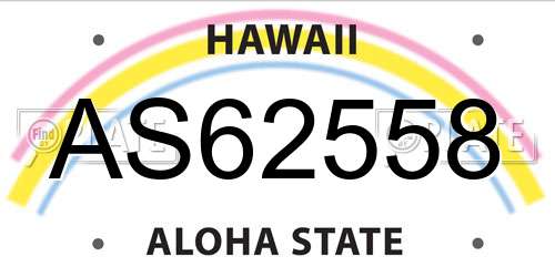 AS62558 Hawaii License Plate