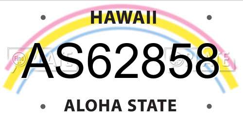 AS62858 Hawaii License Plate