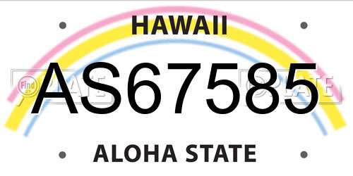 AS67585 Hawaii License Plate