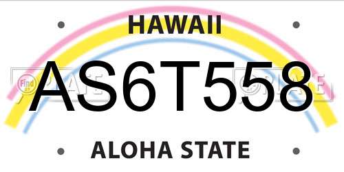 AS6T558 Hawaii License Plate