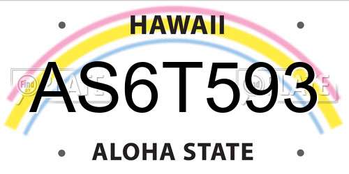 AS6T593 Hawaii License Plate