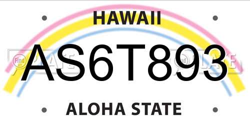 AS6T893 Hawaii License Plate