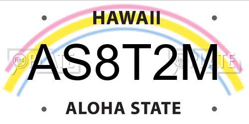 AS8T2M Hawaii License Plate