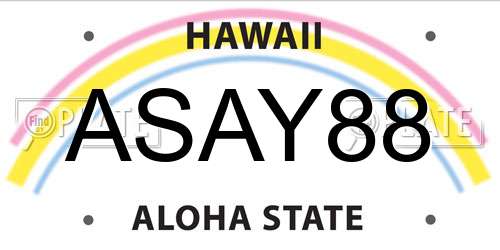 ASAY88 Hawaii License Plate