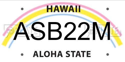 ASB22M Hawaii License Plate