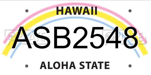ASB2548 Hawaii License Plate