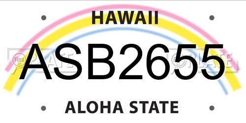 ASB2655 Hawaii License Plate