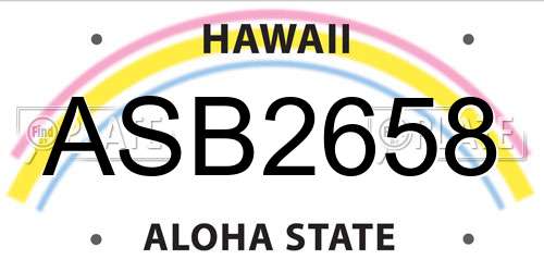 ASB2658 Hawaii License Plate