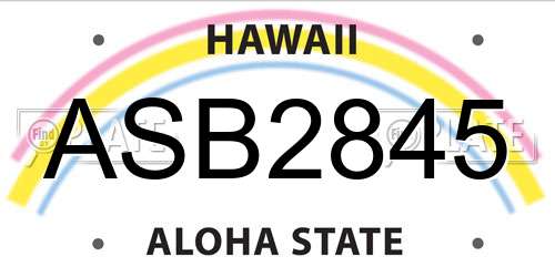 ASB2845 Hawaii License Plate