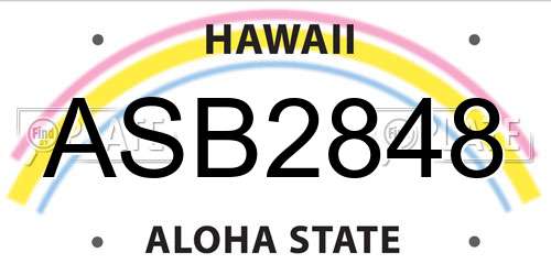 ASB2848 Hawaii License Plate