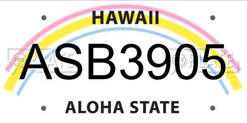 ASB3905 Hawaii License Plate