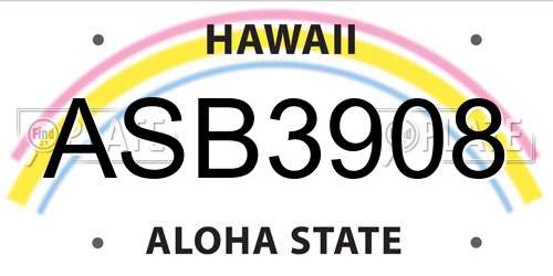 ASB3908 Hawaii License Plate