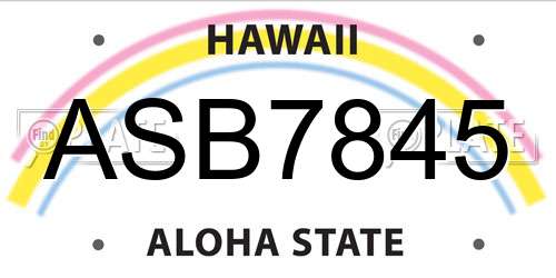 ASB7845 Hawaii License Plate