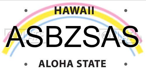 ASBZSAS Hawaii License Plate